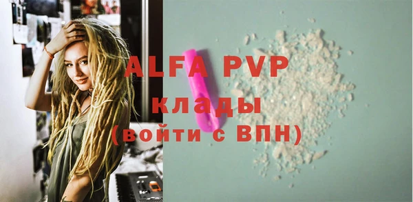 сатива Абаза