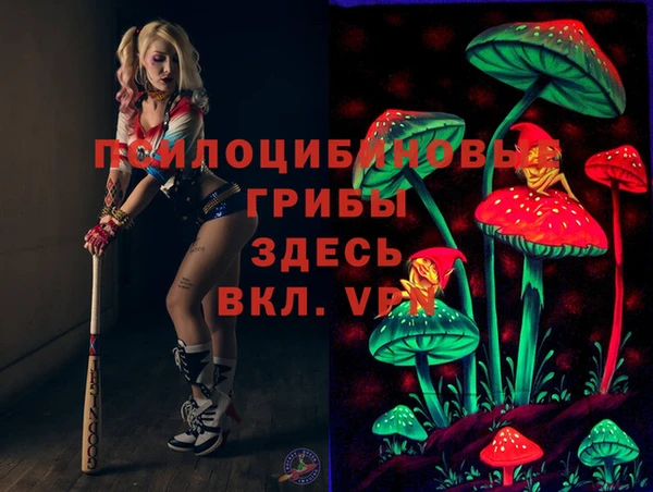 a pvp Абинск