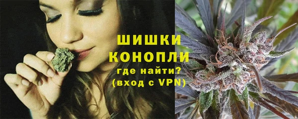 молекула духа Покровск