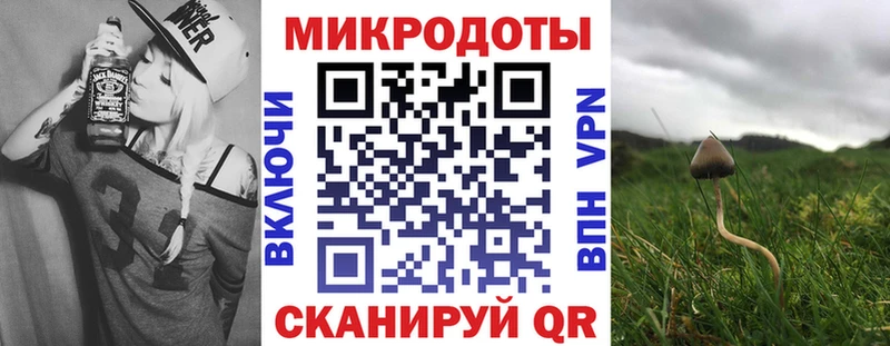 Галлюциногенные грибы мицелий что такое блэк спрут вход Горячеводский
